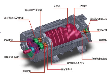 等距螺杆真空泵组成结构图